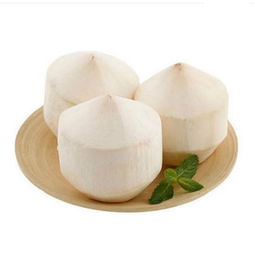 預(yù)售 椰青一件 9個裝 進(jìn)口新鮮椰子甘甜