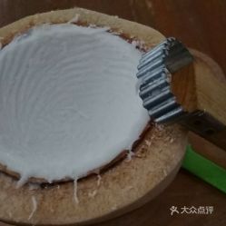 陳御椰子冰 凱悅華庭店 的一粒椰青好不好吃 用戶評價口味怎么樣 汕頭美食一粒椰青實拍圖片 大眾點評