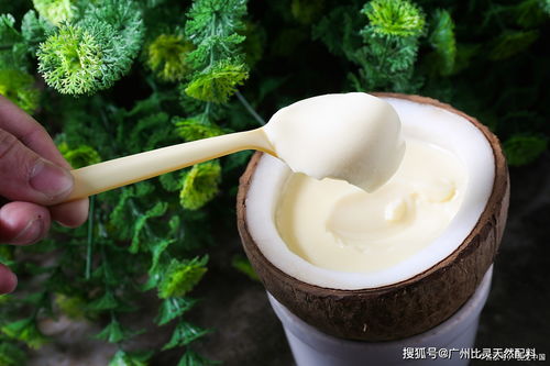 iff t2n 椰奶香精 超前包埋技術(shù),超高性價(jià)比,讓你的產(chǎn)品更吃香